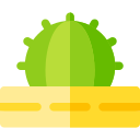 cactus icon