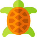 tortuga icon