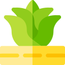 agave icon