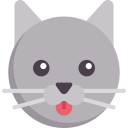 고양이 