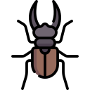 käfer 
