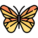 mariposa 