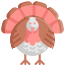 pavo icon