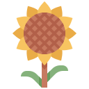 girasol icon