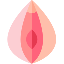 vagina icon