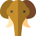 elefante