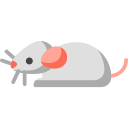 ratón icon