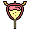 vejiga icon