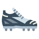 zapato icon