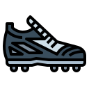 zapato icon