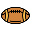 ballon de rugby 