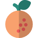 naranja icon