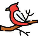 pájaro icon