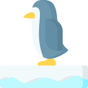 pingüino icon