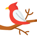 pájaro icon