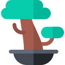 bonsai icon