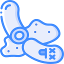 saucisse 