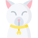 gato icon