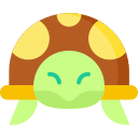 tortuga icon