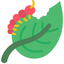 oruga icon