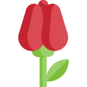 flor