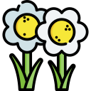 flores icon