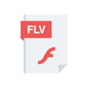 flv icon