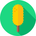 caramelo icon