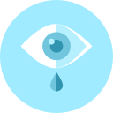 ojo icon