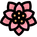 flor de pascua icon