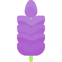 lavanda