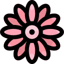 gerbera icon