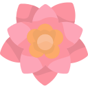 flor de pascua icon