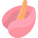 anthurium icon