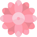 gerbera icon