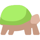 tortuga icon