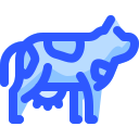 vaca icon