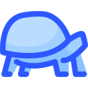 tortuga icon