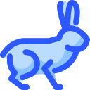 conejo icon