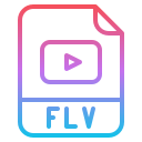 flv icon