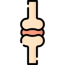 articulación icon