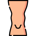 rodilla icon