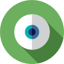 ojo icon