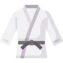 judo icon