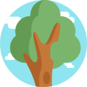 Árbol icon