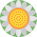 girasol icon