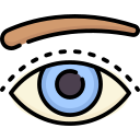 ojo icon