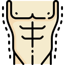 torso icon