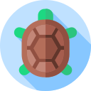 tortuga icon