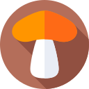 hongos icon